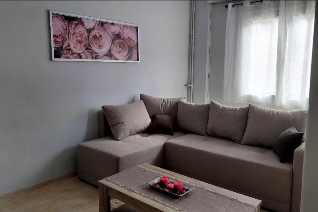 Nephiria'S Cozy Apt In Kerkira! Apartment Corfu  Екстериор снимка